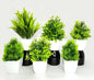 Artificial Plant (set of 5) home decoration