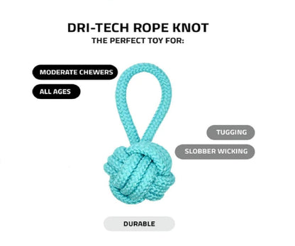 Dog Chew Toy + Toys for Puppies & Small Dogs Toys, Rope Ball Toy Cotton, Rubber Ball, Chew Toy, Rubber Toy, Training Aid For Dog -Pack of 6 (Multicolor)