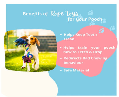 Dog Chew Toy + Toys for Puppies & Small Dogs Toys, Rope Ball Toy Cotton, Rubber Ball, Chew Toy, Rubber Toy, Training Aid For Dog -Pack of 6 (Multicolor)
