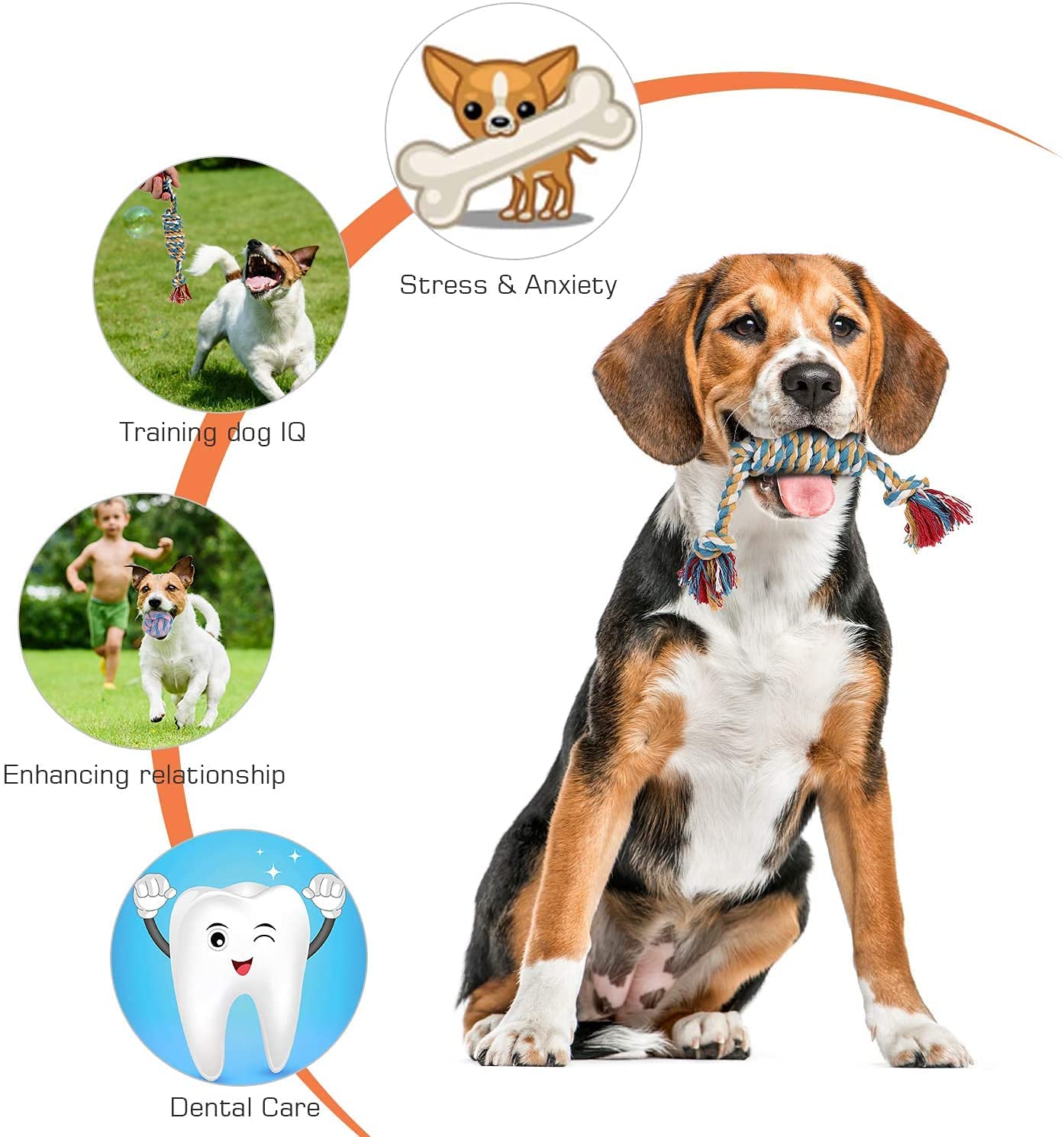 Dog Chew Toy + Toys for Puppies & Small Dogs Toys, Rope Ball Toy Cotton, Rubber Ball, Chew Toy, Rubber Toy, Training Aid For Dog -Pack of 6 (Multicolor)